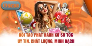 Đối Tác Phát Hành Xổ Số TCG Uy Tín, Chất Lượng, Minh Bạch