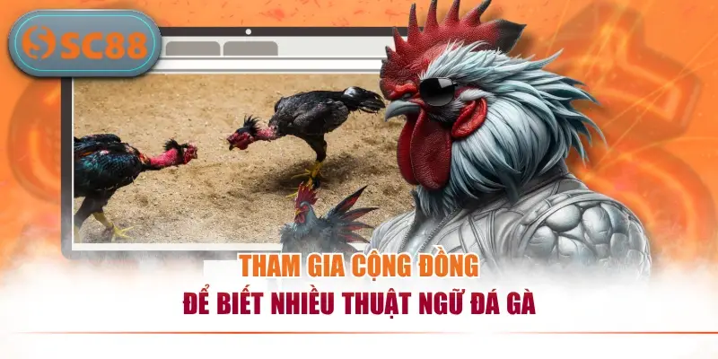 Tham gia cộng đồng để biết nhiều thuật ngữ đá gà